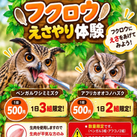 画像281