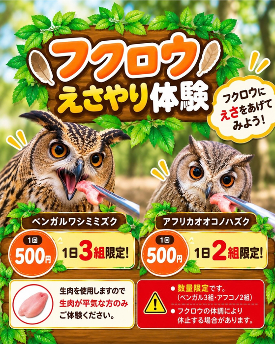 画像281