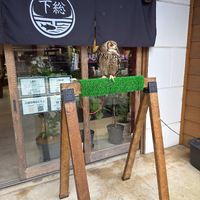 画像312