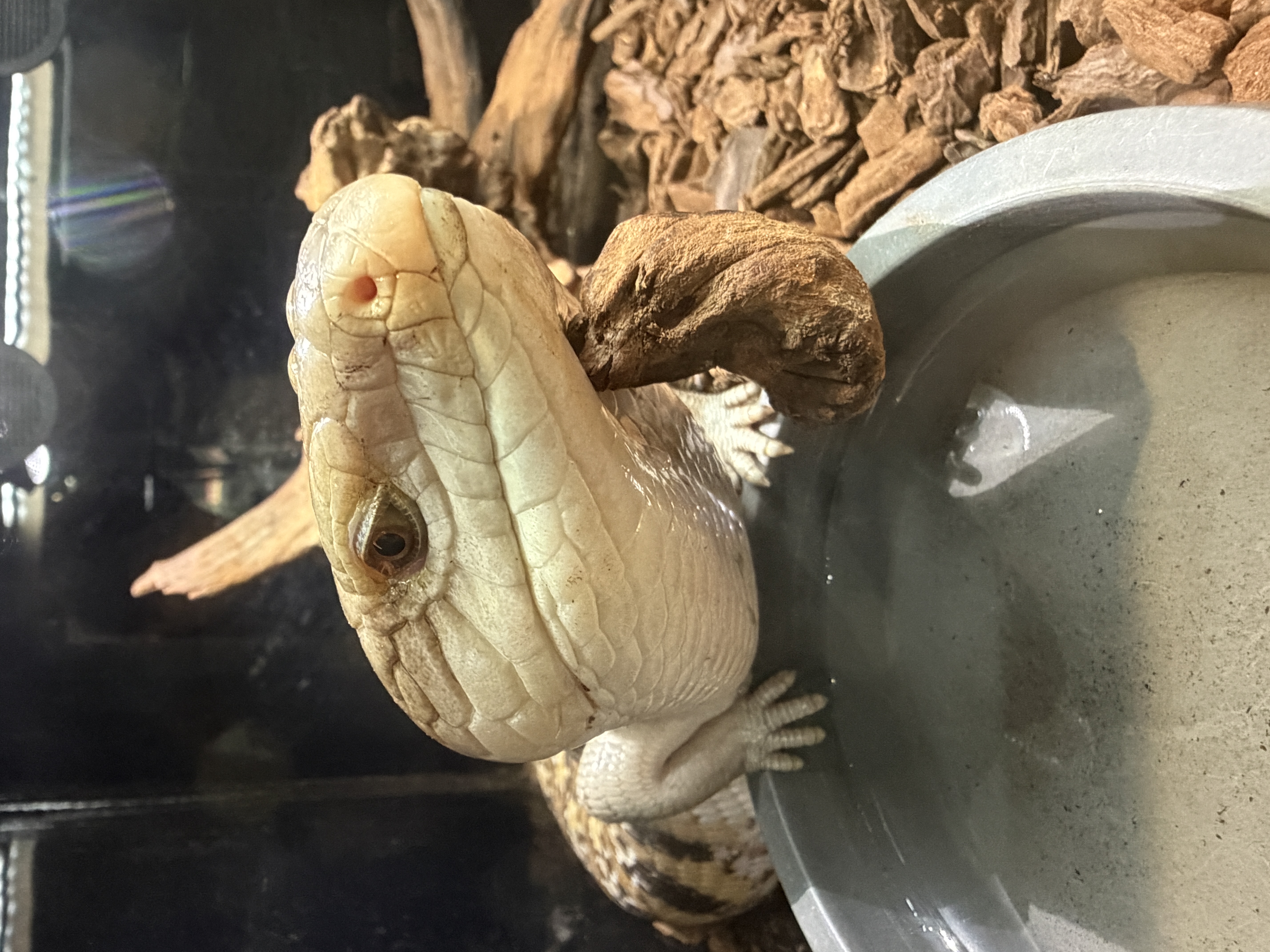 3. ふれあいパークの特徴