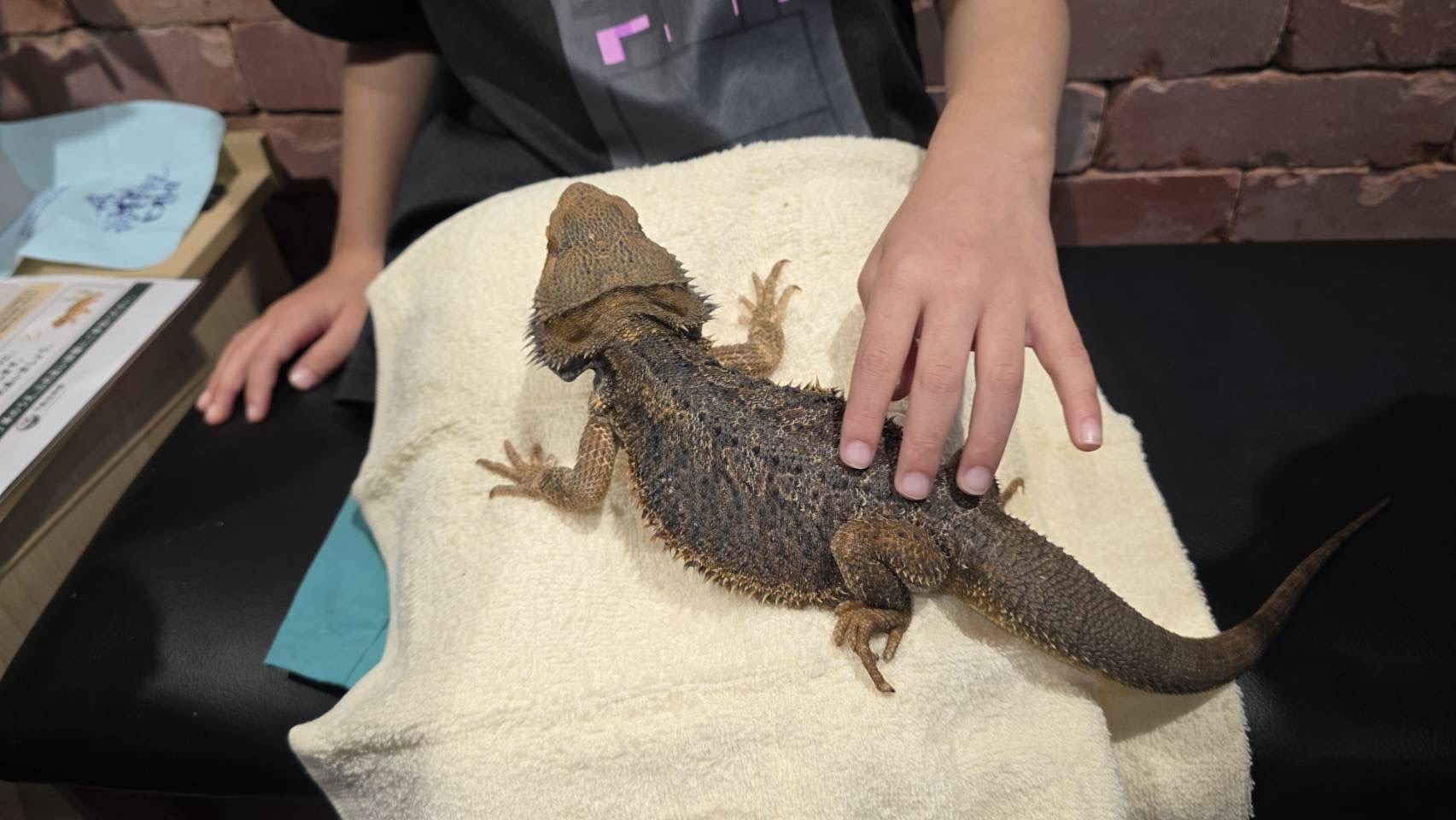 4. 飼育員による体験サポート