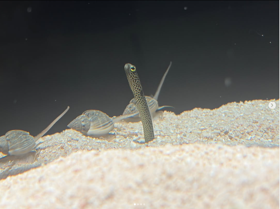生きものを、もっと身近に。見て、ふれて、知る。体験型の小さな生物園
