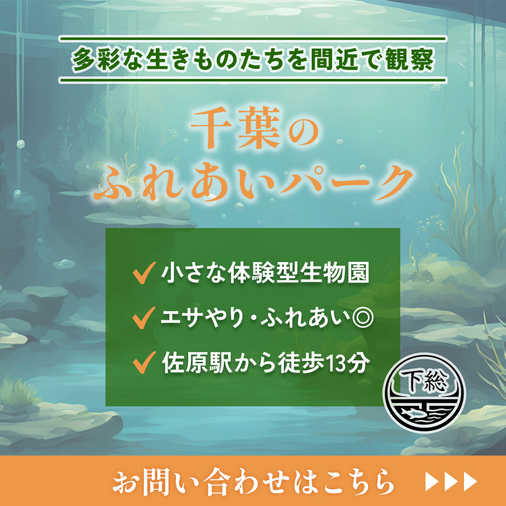 modal_banner